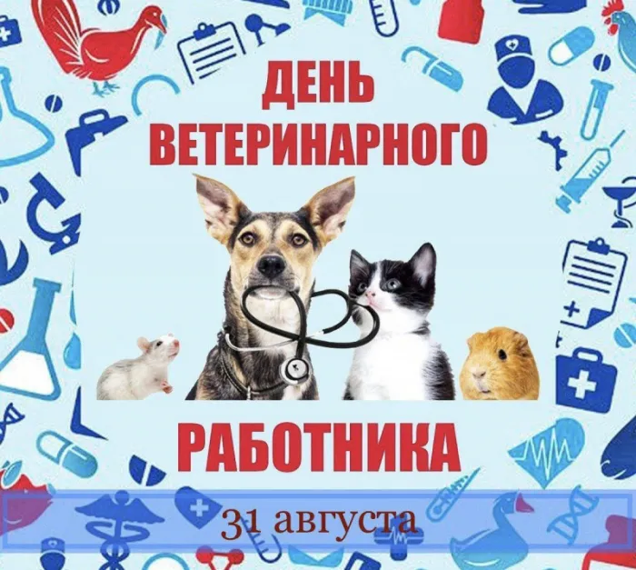 Красивые и новые картинки с Днём ветеринарного работника (35+ штук). Прикольные картинки с Днем ветеринарного работника (День ветеринара)