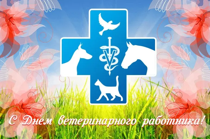 Красивые и новые картинки с Днём ветеринарного работника (35+ штук). Красивые картинки с Днем ветеринарного работника (День ветеринара)