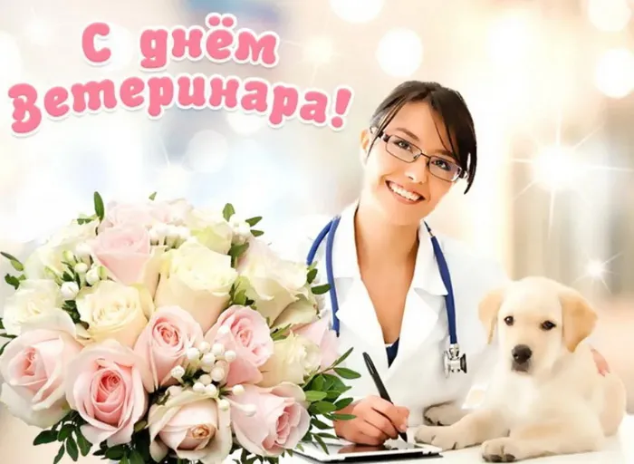 Красивые и новые картинки с Днём ветеринарного работника (35+ штук). Красивые картинки с Днем ветеринарного работника (День ветеринара)