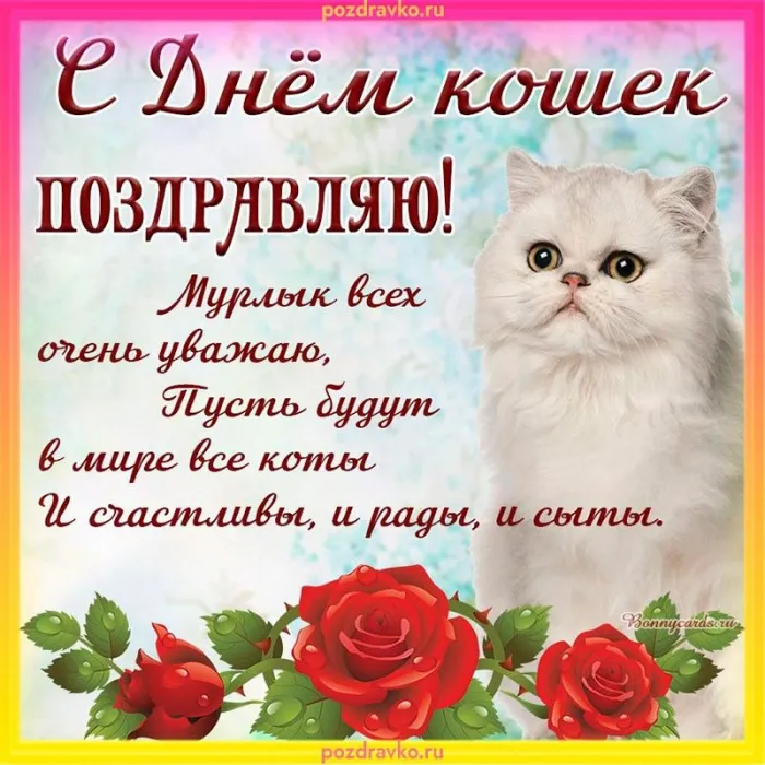 Картинки и открытки на Всемирный день кошек — скачать лучшие изображения. С Днём кошек: картинки с надписями и пожеланиями