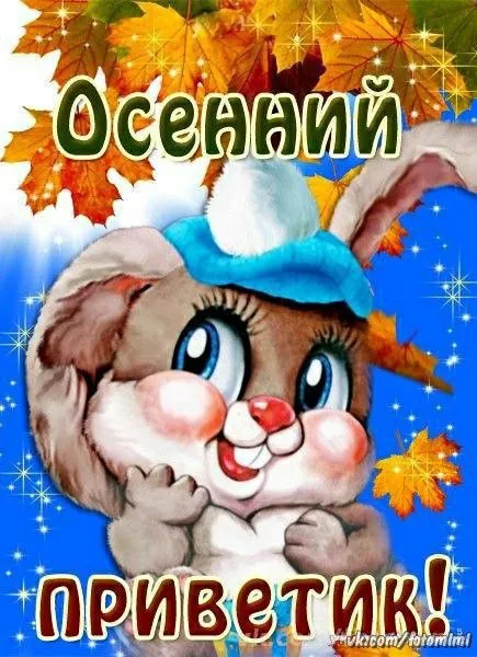 Открытки и картинки С первым днём осени — скачать бесплатно. Красивые картинки Счастливой осени — Осенний привет