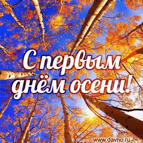 Открытки и картинки С первым днём осени — скачать бесплатно. Красивые картинки С первым днём осени — скачать бесплатно