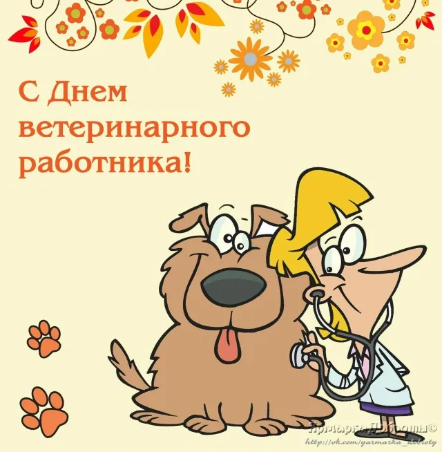 Красивые и новые картинки с Днём ветеринарного работника (35+ штук). Прикольные картинки с Днем ветеринарного работника (День ветеринара)