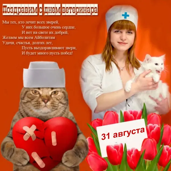 Красивые и новые картинки с Днём ветеринарного работника (35+ штук). Картинки с надписями и поздравлениями на День ветеринарного работника