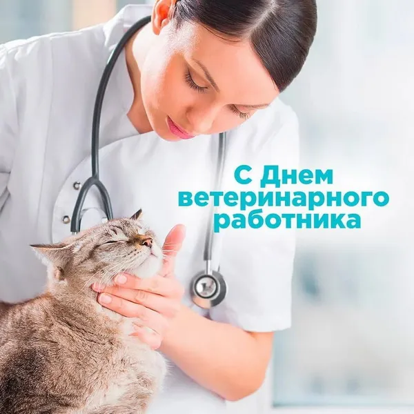 Красивые и новые картинки с Днём ветеринарного работника (35+ штук). Красивые картинки с Днем ветеринарного работника (День ветеринара)