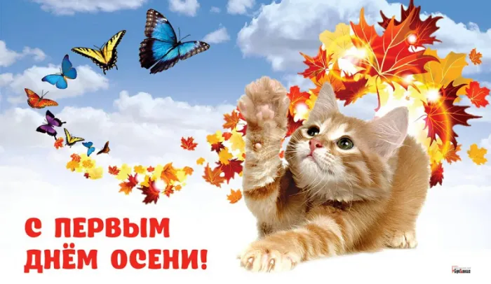 Открытки и картинки С первым днём осени — скачать бесплатно. Красивые картинки С первым днём осени — скачать бесплатно