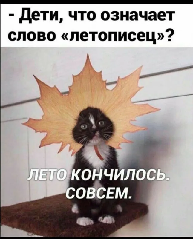 Картинки «С последним днем лета» 2025. Прикольные открытки «С последним днём лета»