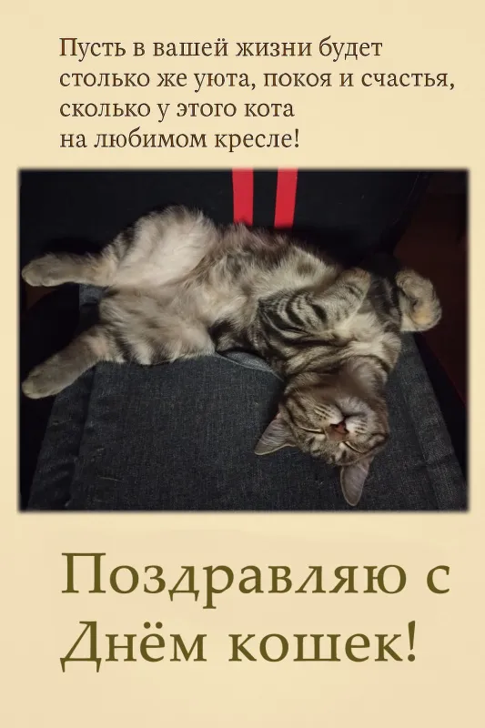 Картинки и открытки на Всемирный день кошек — скачать лучшие изображения. С Днём кошек: картинки с надписями и пожеланиями