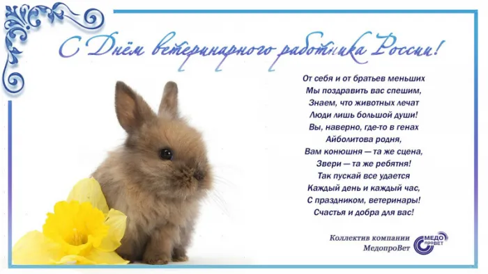Красивые и новые картинки с Днём ветеринарного работника (35+ штук). Картинки с надписями и поздравлениями на День ветеринарного работника