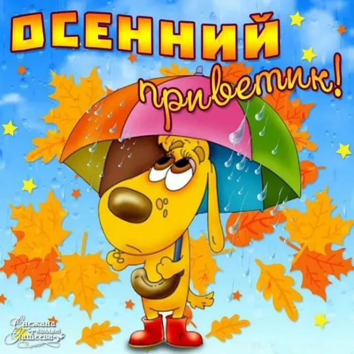Открытки и картинки С первым днём осени — скачать бесплатно. Красивые картинки Счастливой осени — Осенний привет