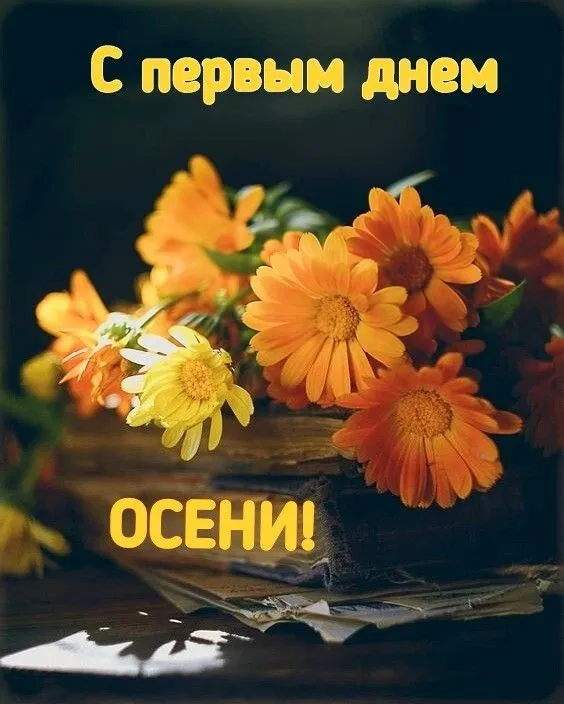 Открытки и картинки С первым днём осени — скачать бесплатно. Красивые картинки С первым днём осени — скачать бесплатно