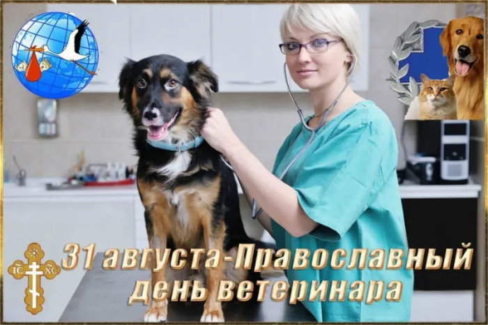Красивые и новые картинки с Днём ветеринарного работника (35+ штук). Красивые картинки с Днем ветеринарного работника (День ветеринара)