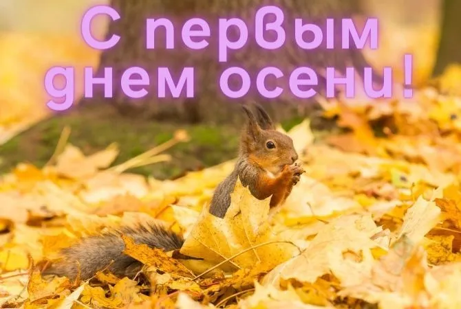 Открытки и картинки С первым днём осени — скачать бесплатно. Красивые картинки С первым днём осени — скачать бесплатно