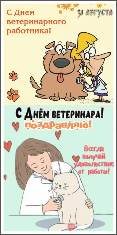 Красивые и новые картинки с Днём ветеринарного работника (35+ штук). Картинки с надписями и поздравлениями на День ветеринарного работника