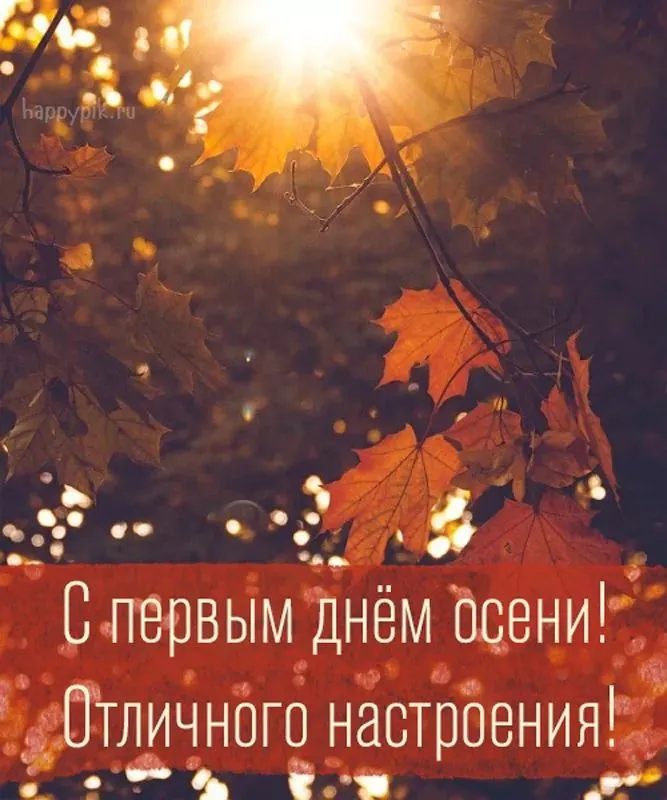 Открытки и картинки С первым днём осени — скачать бесплатно. Красивые картинки С первым днём осени — скачать бесплатно